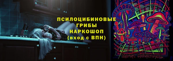 молекула духа Краснослободск