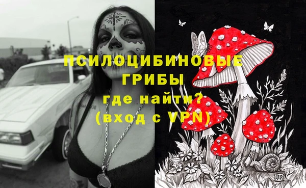 прущие грибы Кинешма