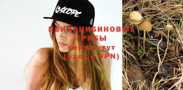 стаф Коряжма