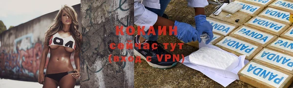 ALPHA PVP Костерёво