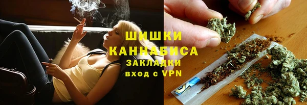 молекула духа Краснослободск